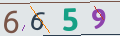 verifycode